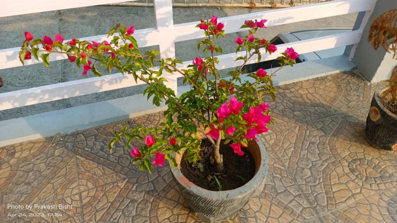 Shivalik River Retreat Almora Dış mekan fotoğraf